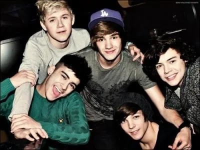 Toujours pendant leur tourne aux USA, sur scne on leur avait demand de danser la macarena. Lequel d'entre eux n'a pas dans, mais fait le beatbox ?