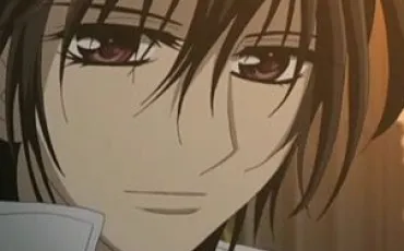 Quiz Vampire knight