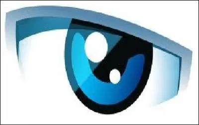 Qui donne les ordres (les missions) dans cette mission ?