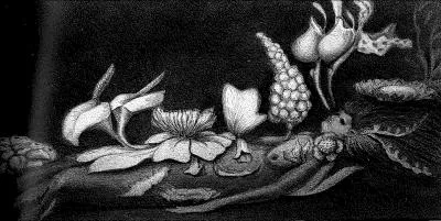 Quel pome connu des  Fleurs du Mal  ce dessin d'Alfred Kubin illustre-t-il ?