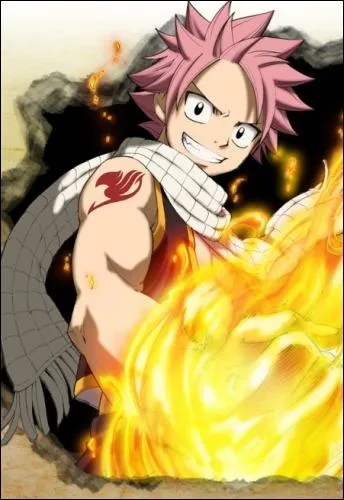 Dans quoi Natsu est-il malade ?