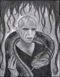 Qui a tu Nagini, le serpent de Voldemort ?