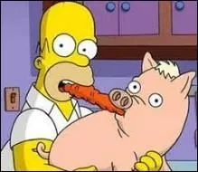 Dans la version franaise, lequel de ces noms Homer n'a-t-il JAMAIS donn au cochon qu'il a adopt et  qui il voue une affection quasi maladive ?