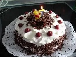Quel gteau d'anniversaire va nous tre servi ?