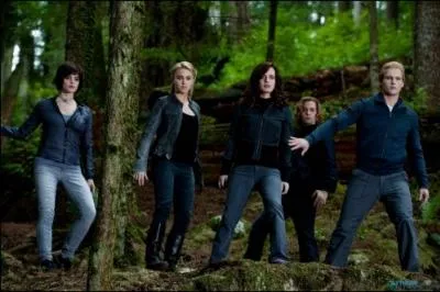 Question facile pour les fans de  Twilight  : quel est ce film ?