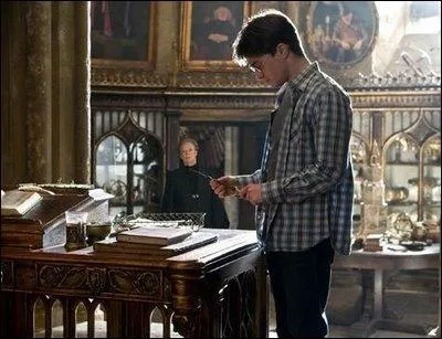Pour les fans d'Harry Potter : de quel film s'agit-il ?
