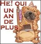 Un an de plus ! une petite ride ! Mais ne t'inquite pas, les cosmtiques, de nos jours, font des miracles, je te conseille une marque dont le nom est celui d'un de tes amis peintres :