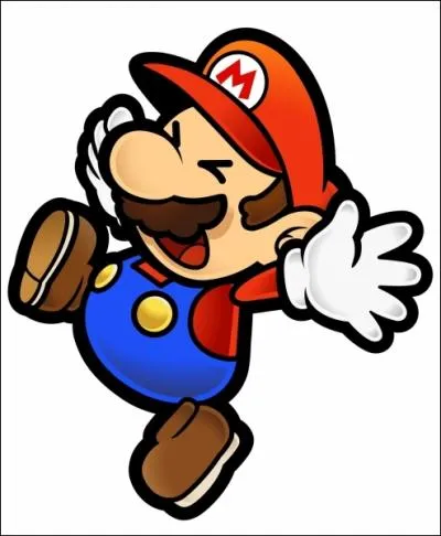 Dans Mario paper sur Wii, peut-on changer de perso ex : Changer Mario avec Luigi ?
