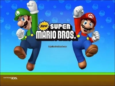 Dans new super Mario Bros DS peut-on jouer avec deux joueurs dans le mode adventure ?