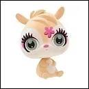 Les petshop changent-ils de look ?