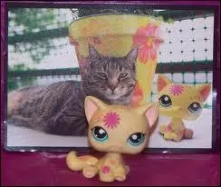 Peut-on en acheter en figurines, en magazines ou posters ?