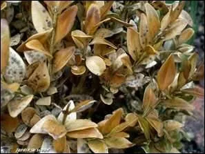 - le (... ) est jet  bas de son trne,