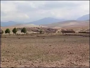 La prairie se couvre d'une (... ) de poussire