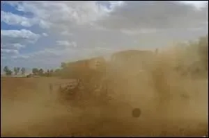 - qui se (... ) au vent comme des serpents.  