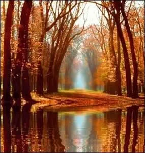 Ce sang qui courait dans chaque (... ),