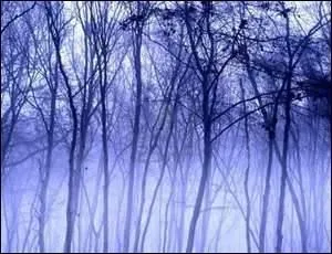 Les branches sont atteintes de (... ),