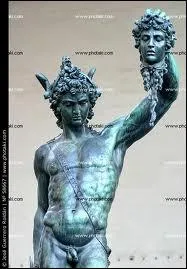 Le grand-pre de ce hros l'enferma dans un coffre qu'il jeta  la mer mais des bergers le recueillirent. Il est n de l'union de Zeus et Dana :