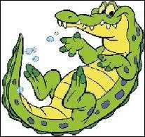 Quelle est la diffrence entre un crocodile et un alligator ?