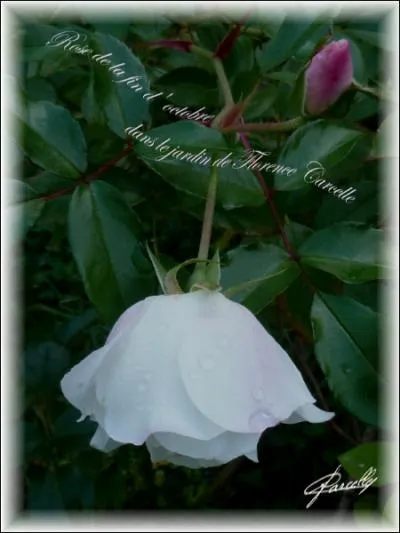 Qui chantait  On est bien peu de chose...   ?