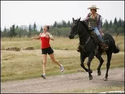 D'o vient ce cheval ?