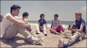 Quel titre contient le single  What makes you beautiful  ?