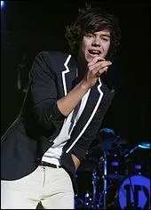 O Harry Styles a-t-il fait ses tudes ?
