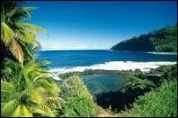 Qu'appelle-t-on les Zoreilles dans l'île de La Réunion ?