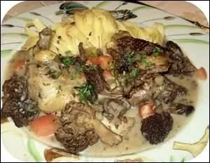 Un poulet blanc à pattes bleues. Une crête rouge développée. Pour arriver jusque dans nos assiettes il sera d'abord mis "au maillot".