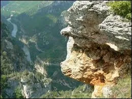 Canyon creus par la rivire entre le Causse Mjean et le Causse de Sauveterre, ces gorges se trouvent principalement dans le dpartement de la Lozre. Affrontez les torrents imptueux...