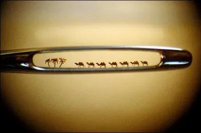 Dans quoi marchent les dromadaires, sur la photo ?