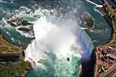 Quelle est la particularit (unique chez les oiseaux) du colibri ?