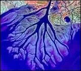 En gographie, il s'agit de la division d'un cours d'eau en plusieurs branches.