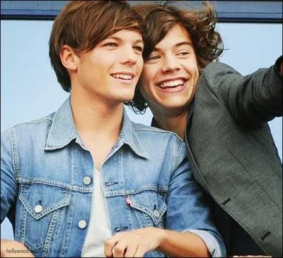Quelle est la bromance Louis et Harry ?