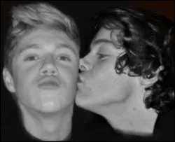 Quelle est la couleur prfre d'Harry et de Niall ?