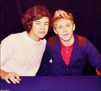 Qui a peur des oiseaux ?