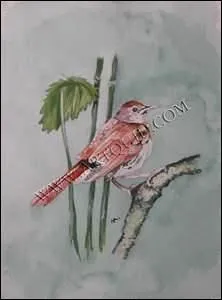 Il écrivait d'une plume d'or, dessinait, jouait de la musique, et nous enchante toujours et encore. 
Quel surnom lui convenait parfaitement ?