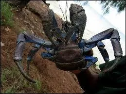 Il s'alimente plutt :