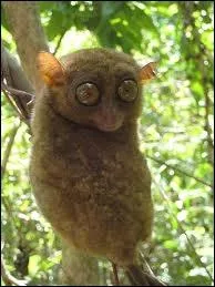 Comment peut-il se blesser lui-m�me ?