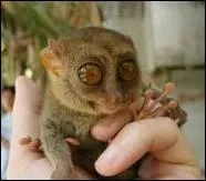 Quelle est sa famille ?