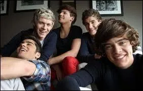 Quel est le signe particulier de Louis ?