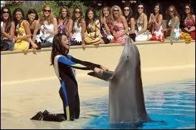  quel endroit ne peut-on plus voir d'animaux en date du 15 juin 2012 ?