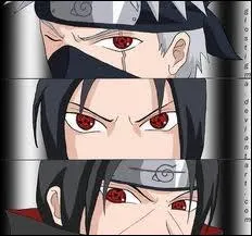 Quel don hrditaire peuvent-ils utiliser ?