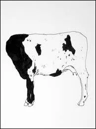 Qu'est-ce qui n'a ni queue ni tte ?