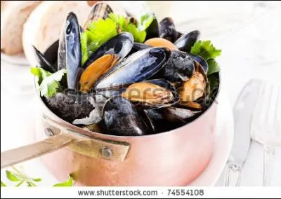 Le mle de la moule a un pnis norme par rapport  sa taille, presque la mme longueur que son corps !