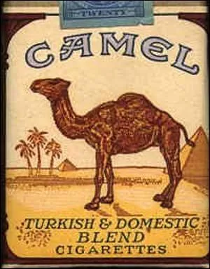 En 1913, comment s'appelait le nom d'un vieux dromadaire que JR Reynolds a pris en photo, pour illustrer les paquets de cigarettes  Camel  ?