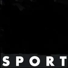 Quel est ce magasin de sport ?