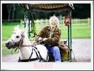 Qui est la propritaire de Sugarfoot ?