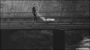 Combien de fois Ben va-t-il jeter des cadavres du haut du pont ou dans la carrire (sur tout le film) ?