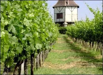 Les pigeonniers pour lesquels vous connaissez ma passion ne pouvaient manquer de se trouver dans ce quiz. Comment appelle-t-on la construction de ce trs beau spcimen idalement situ ?