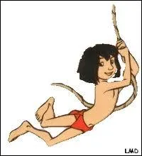 Qui est le ROi de la jungle ?